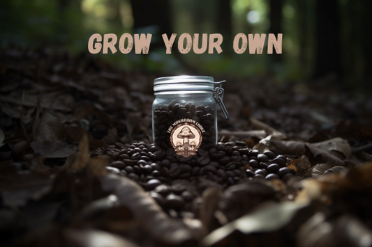 HOW TO: GROW MUSHROOMS FROM COFFEE GROUNDS