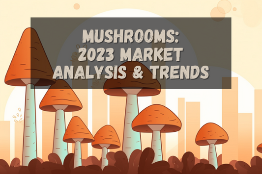 THE INTERNATIONAL MUSHROOM INDUSTRY: MARKET ANALYSIS AND TRENDS 2023