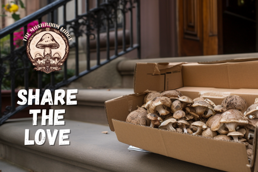 Manhattan Mushroom Delivery