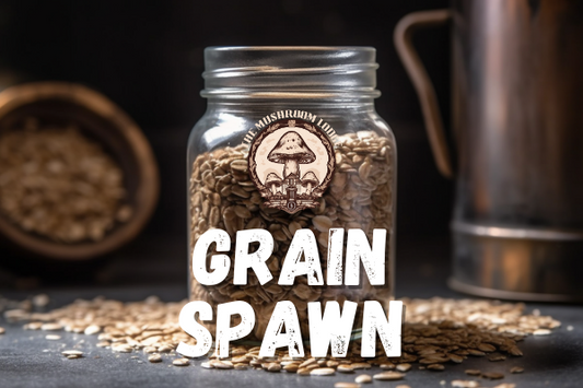 HOW TO: PRODUCE GRAIN SPAWN