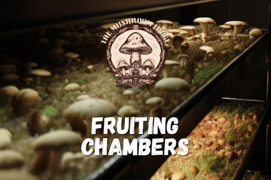 HOW TO: MUSHROOM FRUITING CHAMBERS