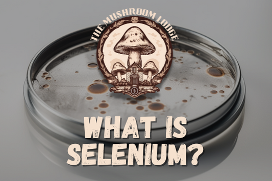 WHAT IS SELENIUM?