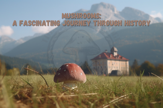 MUSHROOMS: A FASCINATING JOURNEY THROUGH HISTORY