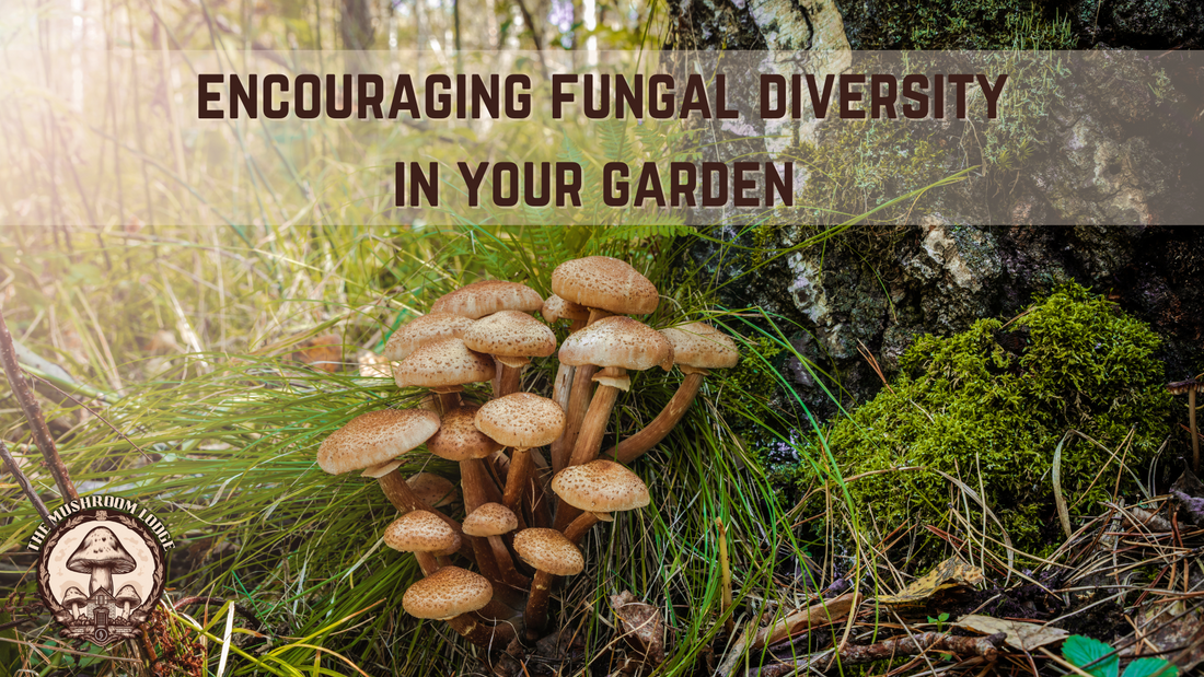 Encouraging Fungal Diversity in Your Garden