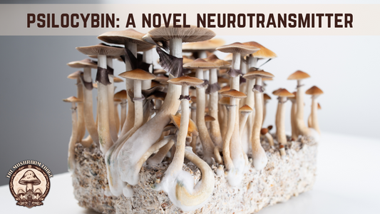 Psilocybin: A Novel Neurotransmitter