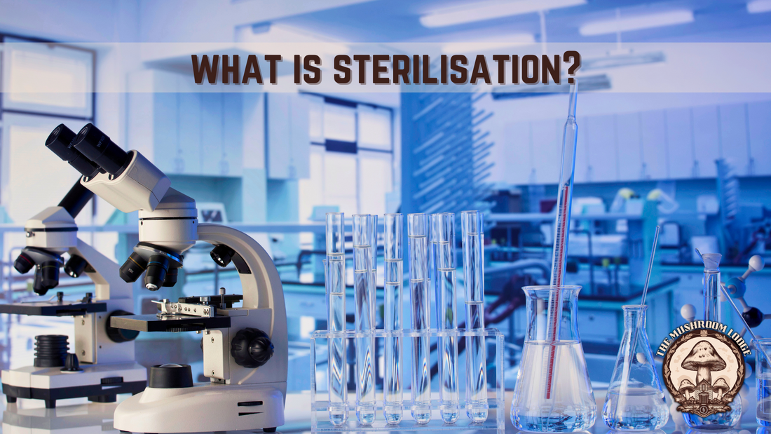 What is Sterilisation?